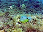 GOPR1295.jpg