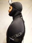 Head Strap Leash.jpg