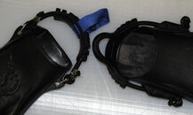 Jet and F1 BungeeFinStrap.jpg