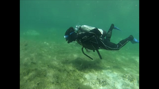 snorkel.png