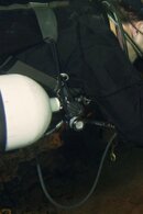 ImageUploadedByTapatalk1408762566.411680.jpg