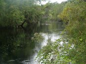 looking upriver.jpg looking upriver.jpg