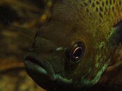 IMG_0683.jpg