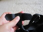 IMG_2204.jpg