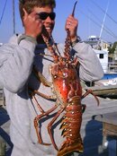 NC Lobster.jpg