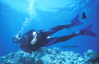 2003-fiji140.jpg