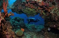 SM IMG_0407-sm.jpg