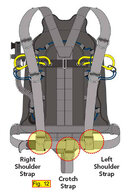 retrieval bungees.jpg