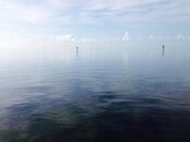 IMG_3497.jpg IMG_3497.jpg