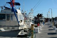 DSC_0155.jpg