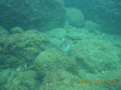 DSCN0071.jpg DSCN0071.jpg