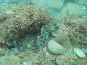 DSCN0072.jpg DSCN0072.jpg