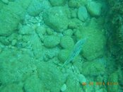 DSCN0073.jpg DSCN0073.jpg