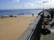 CAM00657.jpg
