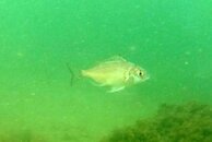 DSC06628a.jpg