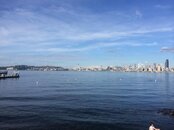 IMG_4932.jpg
