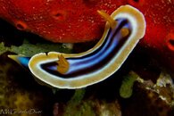 IMG_4047.jpg