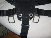 IMG_3940.jpg