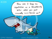 shark-cartoon-229.jpg