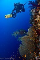 IMG_4470.jpg