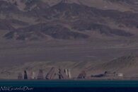 IMG_1900.jpg