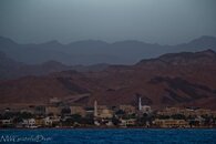 IMG_1916.jpg
