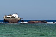 IMG_1924.jpg