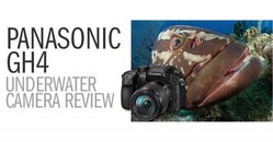 Backscatter_GH4forFacebook.jpg