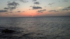 bonaire 157.jpg