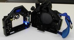 PC020007.jpg