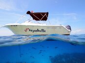 overunder boat.jpg