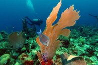 UTILA4.jpg
