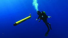 chip-with-glider.jpg