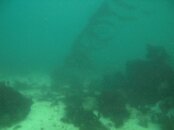 PA124217.jpg PA124217.jpg