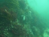 PA124223.jpg PA124223.jpg
