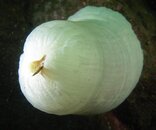 PA124253.jpg