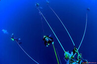 d10_506-bluewater-dive.jpg