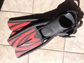 red fin.jpg