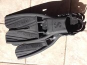 black fin.jpg