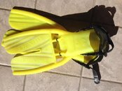 yellow fins.jpg