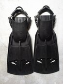 sixgill_fins_1.jpg