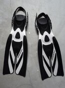 tusa_fins_1.jpg