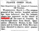 plague 2a.jpg