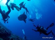 Bali Nusa Penida 2-26.jpg