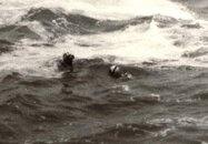 Rocky Creek1.jpg