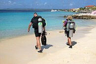 bari-reef-shore-dive.jpg