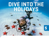 015_2014-Christmas-Emailer-Header.jpg