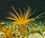 PB094996 (2).jpg