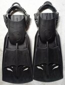sixgill_fins_1.jpg