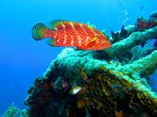 IMG_2315.jpg
